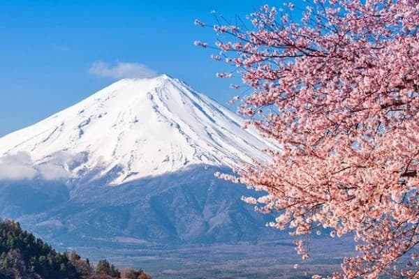 Maskapai Jepang Ajak Wisatawan Lihat Gunung Fuji Lebih Dekat
