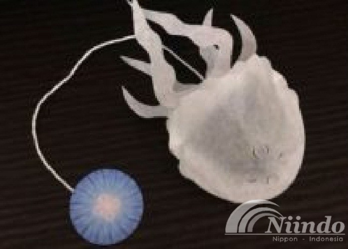 teh celup bentuk ubur-ubur dari Jepang