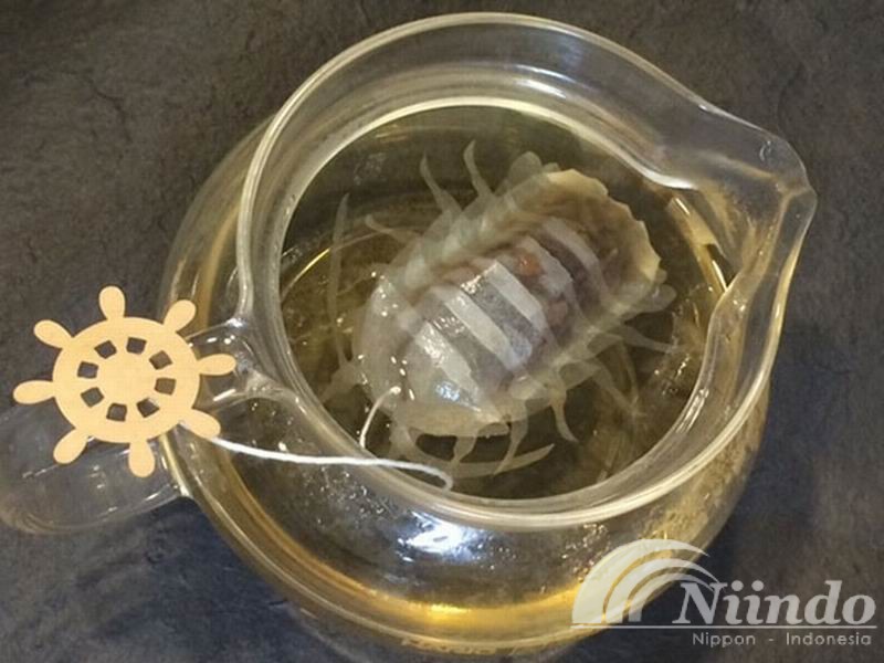 teh celup dengan bentuk isopoda raksasa ada di Jepang