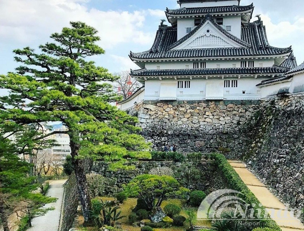 Kastil Kochi jepang
