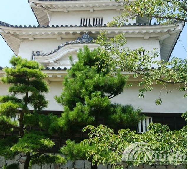 Kastil Marugame jepang