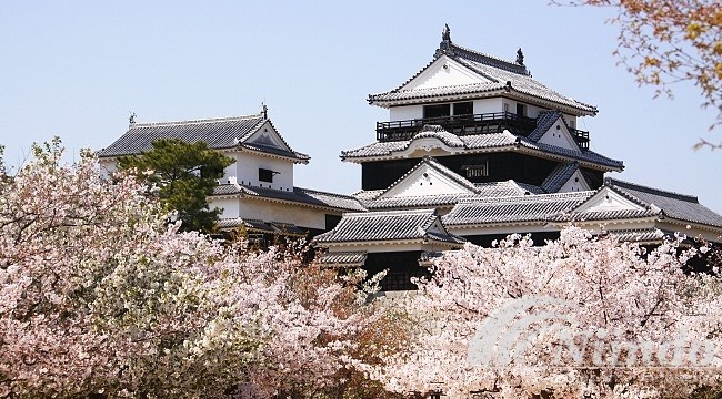 Kastil Matsuyama jepang