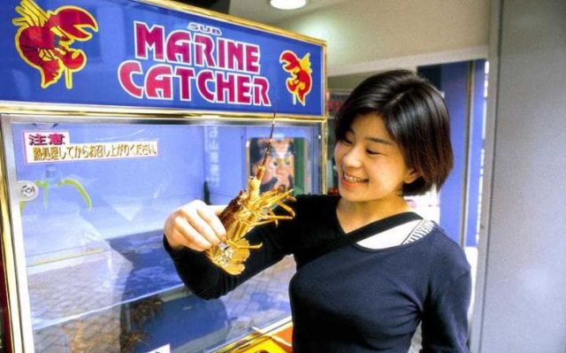 vending machine lobster