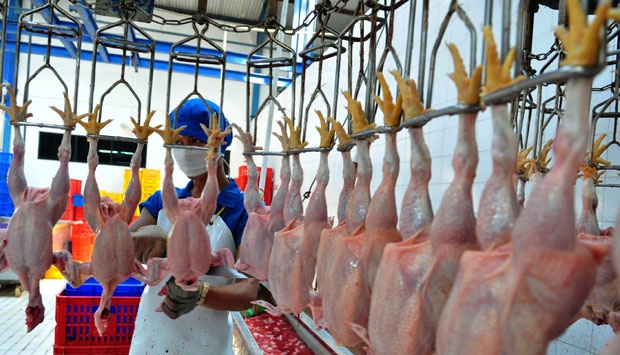 produk belfoods yang beraneka ragam