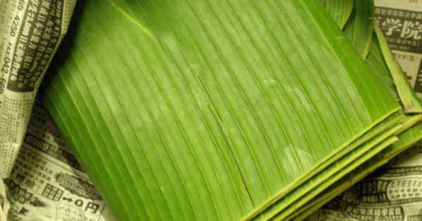 Tercengang Kamu Harus Tahu Berapa Harga Daun Pisang Di Jepang Niindo