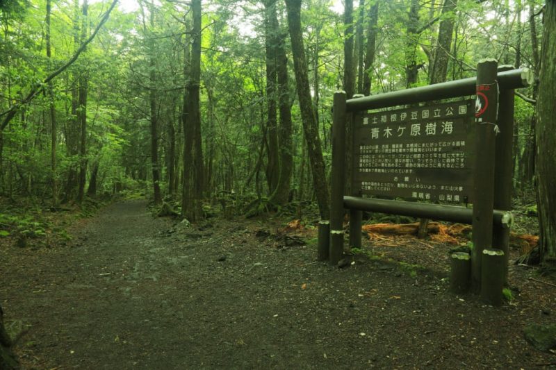 Misteri Hutan Bunuh Diri di Jepang - Niindo