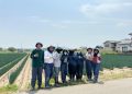 Jumlah Petani di Jepang Pertama Kalinya Turun di Bawah 1 Juta