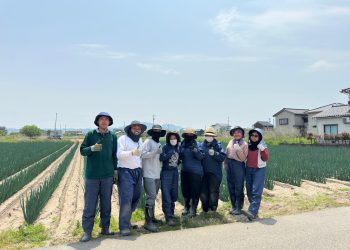 Jumlah Petani di Jepang Pertama Kalinya Turun di Bawah 1 Juta